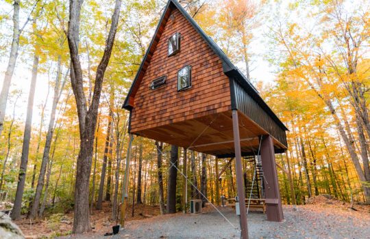 בית עץ לילדים2